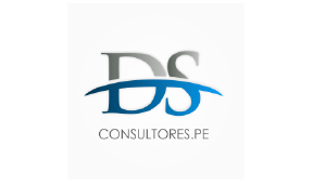 LOGO - DS CONSULTORES.PE.PNG